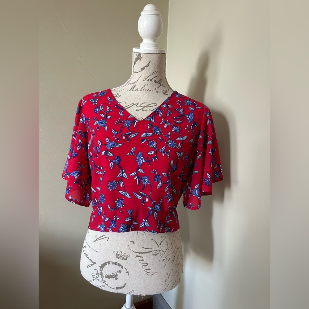Japna Red and Blue Floral Blouse